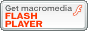 Flash Player _E[h